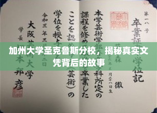 加州大学圣克鲁斯分校，揭秘真实文凭背后的故事