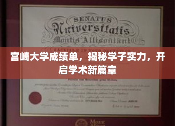 宫崎大学学子风采展，成绩单映照实力，共绘学术辉煌新画卷