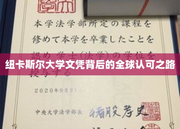 纽大荣耀，揭秘全球认可的纽卡斯尔大学文凭传奇