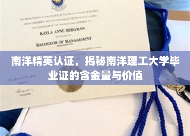 南洋理工学子荣耀揭秘，毕业证书背后的高含金量与无限价值