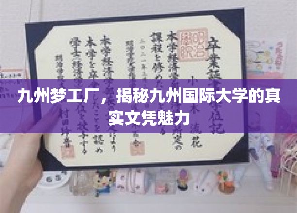 九州国际大学文凭背后的魅力揭秘，梦工厂里的真实教育之旅