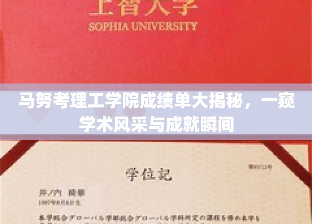 马努考理工学院学子成绩单曝光，揭秘学术精英之路