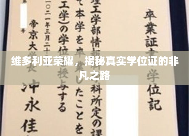 揭开维多利亚荣耀学位证背后的传奇征程
