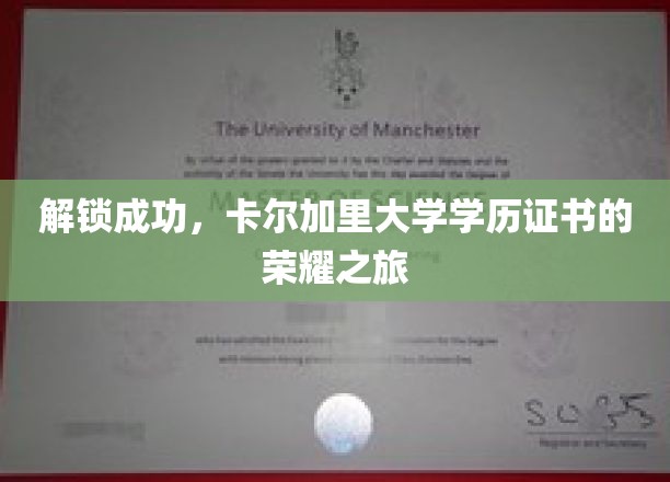 卡尔加里大学荣耀见证，学历证书背后的辉煌历程