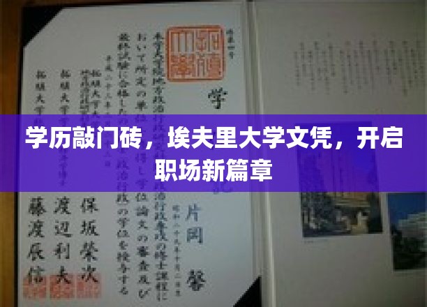 埃夫里大学文凭，解锁职场新起点，学历成就非凡人生