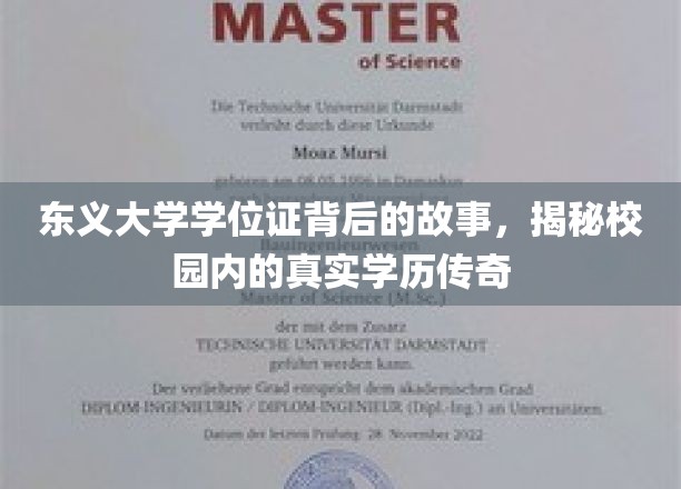 东义大学学位证之谜，校园学历传奇背后的惊人真相