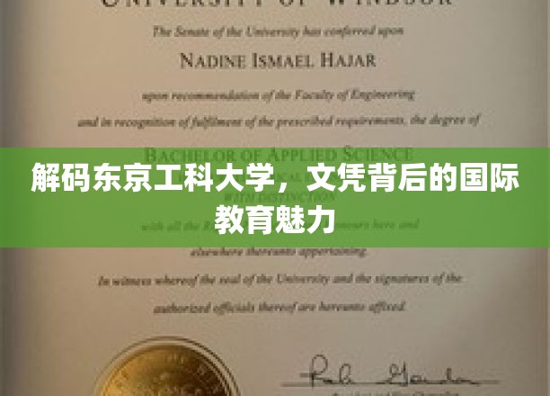 揭秘东京工科大学，文凭背后的全球视野与教育魔力