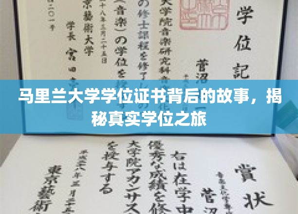 马里兰大学学位证书背后的故事，揭秘真实学位之旅