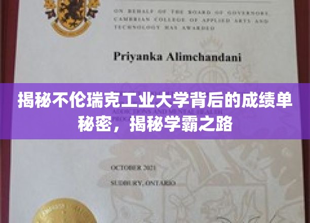 探秘不伦瑞克工业大学，学霸背后的惊人成绩单揭秘