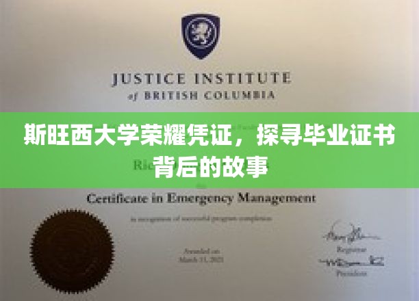 斯旺西大学证书之谜，毕业证书背后的荣耀与传承