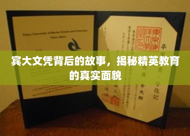 解码宾大光环，精英教育的幕后传奇