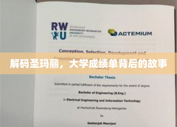 解码圣玛丽，大学成绩单背后的故事
