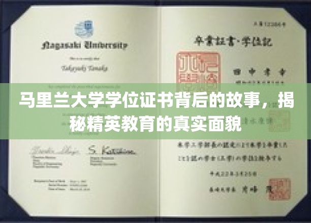 解码马里兰大学文凭，探秘精英教育的秘密面纱