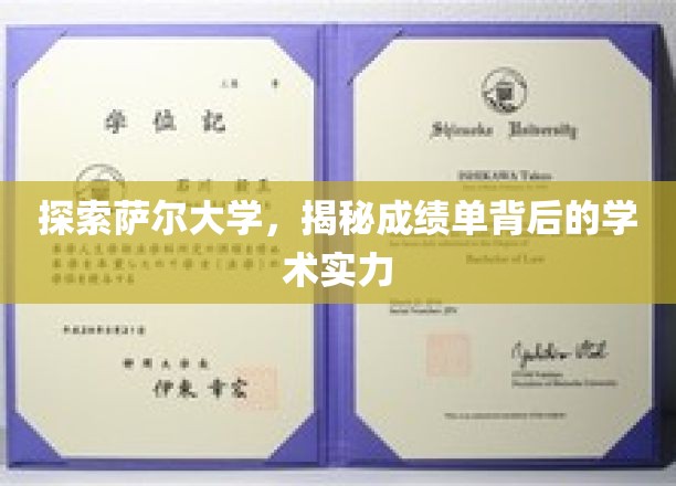 探索萨尔大学，一探究竟成绩单背后的学术实力