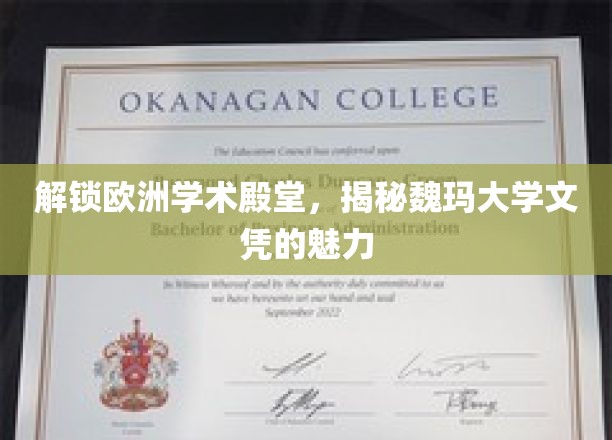 欧洲学术明珠，魏玛大学文凭的非凡魅力
