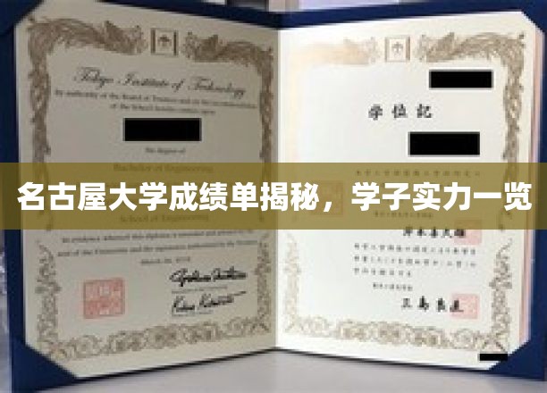 名古屋大学学子实力大揭秘，成绩单背后的精彩故事