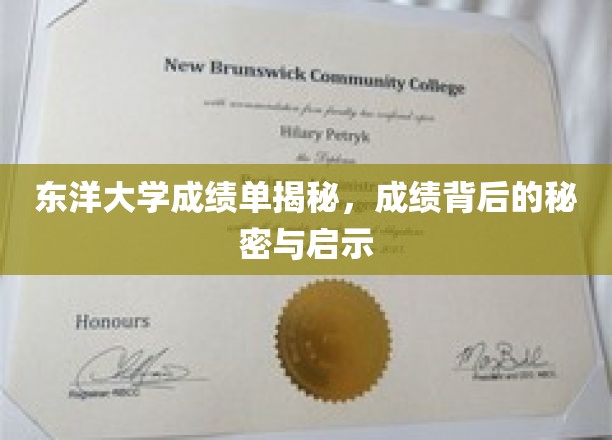 东洋大学成绩单背后，探寻学术成果的奥秘与启示