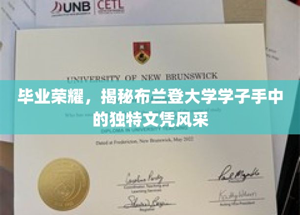毕业荣耀，一睹布兰登学子手中独特文凭的风采