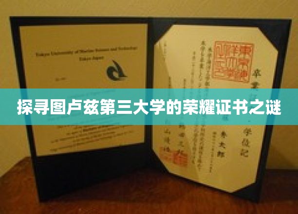 解密图卢兹三大学荣耀证书背后的传奇故事
