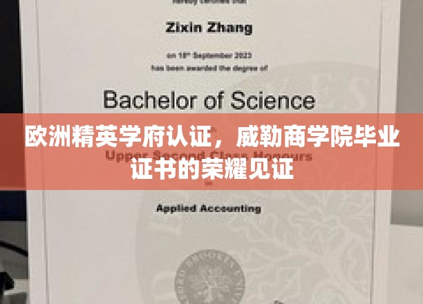 欧洲精英学府认证，威勒商学院毕业证书的荣耀见证