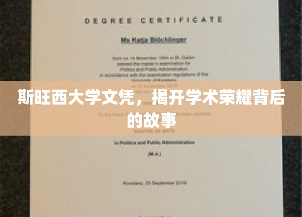 斯旺西荣耀背后，揭秘斯大文凭背后的传奇故事