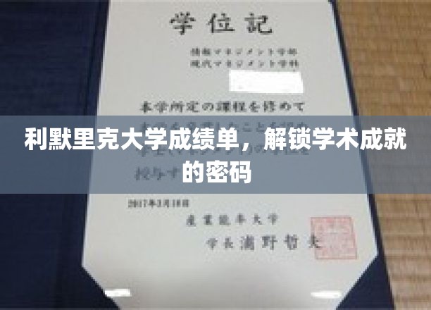 利默里克大学成绩单，解锁学术成就的密码