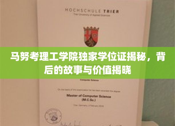 马努考理工学院学位证背后的传奇，揭秘其价值与不为人知的故事