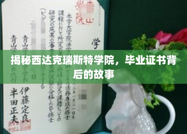 揭秘西达克瑞斯特学院，毕业证书背后的故事