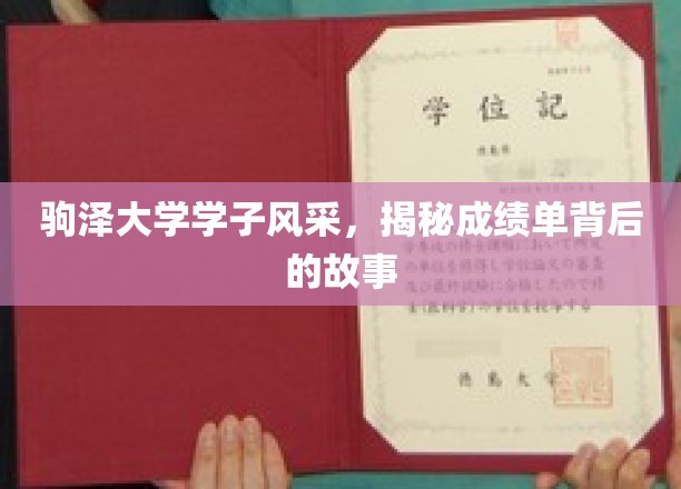 驹泽大学学子风采，揭秘成绩单背后的故事