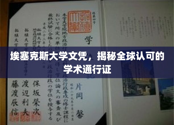 全球通行无阻，埃塞克斯大学文凭开启学术之旅