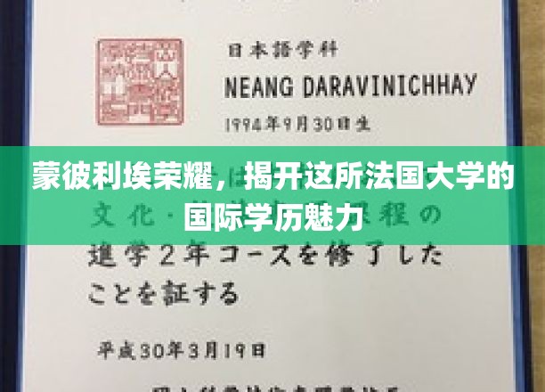 法国蒙彼利埃，探寻国际舞台上熠熠生辉的学历魅力之光