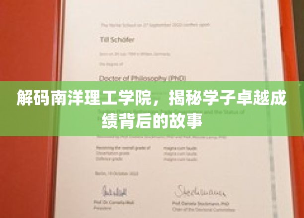 解码南洋理工学院，探寻学子卓越成绩背后的精彩故事