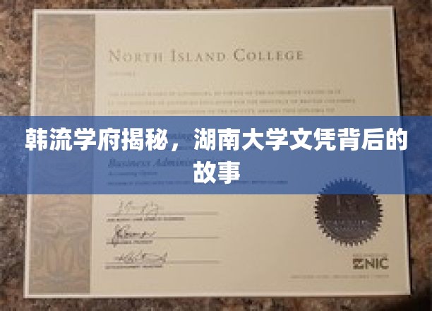 湖南大学文凭背后的韩流传奇，揭秘明星学子的求学之路