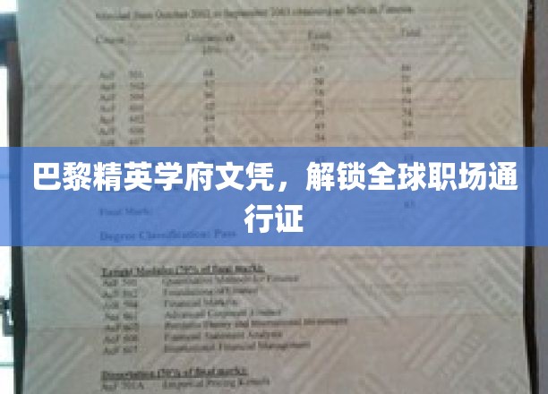 巴黎名校学历，开启国际职场之旅