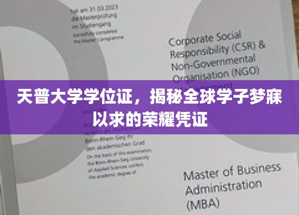 天普大学学位证，解锁全球学子向往的荣耀之门