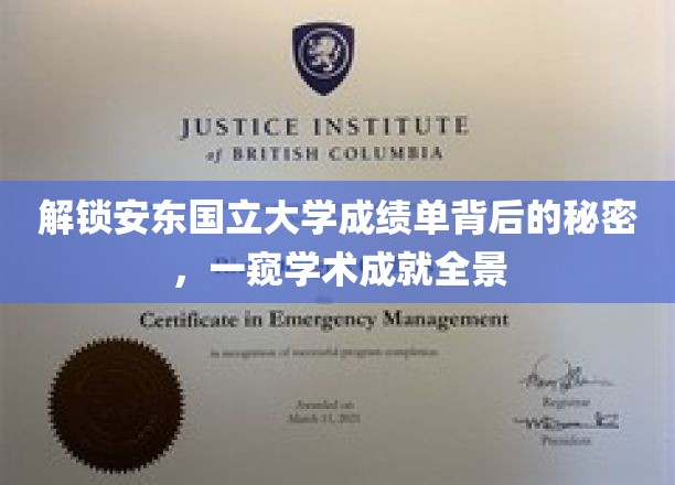揭秘安东国立大学学术风采，成绩单中的不凡故事