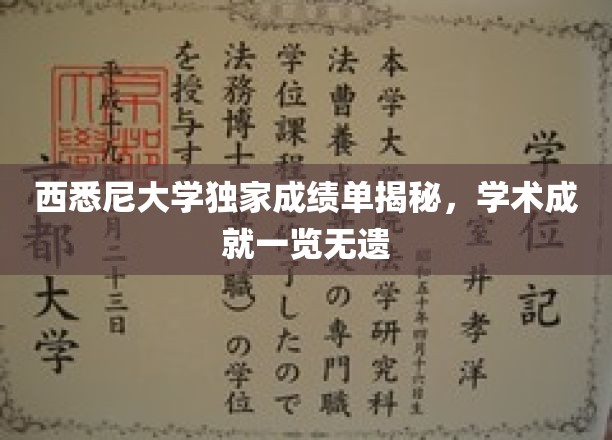 西悉尼大学成绩单背后的学术辉煌，一窥学术精英的成长轨迹