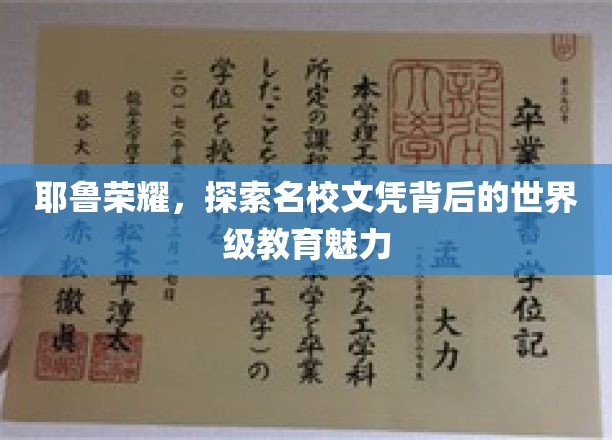 耶鲁荣耀，探索名校文凭背后的世界级教育魅力