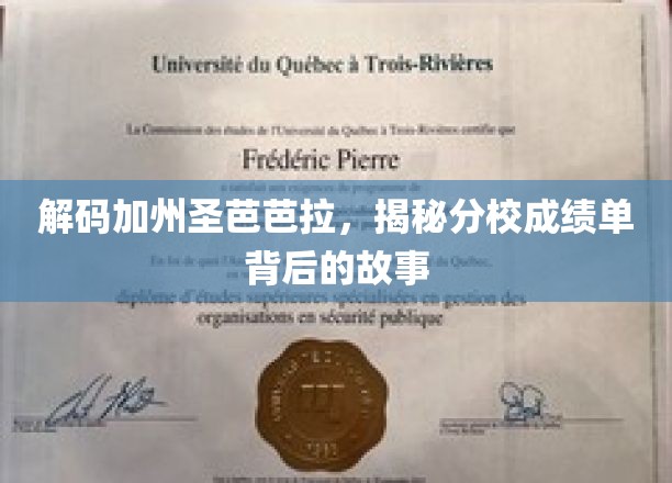 加州圣芭芭拉分校成绩单解码，揭秘学霸背后的传奇之路