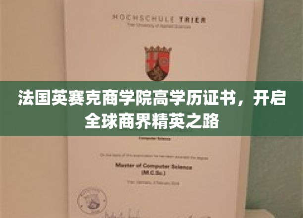 法国英赛克商学院精英通行证，铺就国际商界璀璨未来