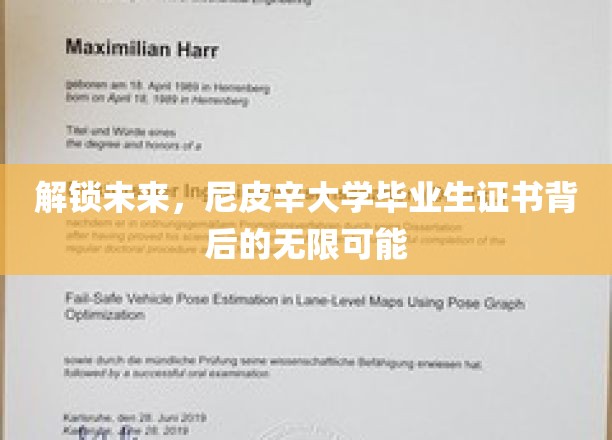 尼皮辛骄子，证书藏宝图，毕业生开启人生新篇章的密码之谜