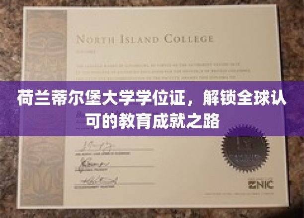 荷兰蒂尔堡大学学历，开启国际认可的学术荣耀之旅