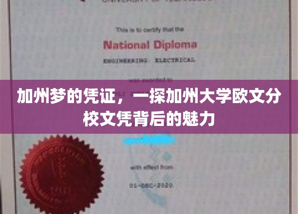 加州梦的凭证，一探加州大学欧文分校文凭背后的魅力