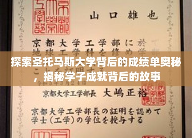 探索圣托马斯大学成绩单背后的奥秘，一窥学子成就背后的精彩篇章