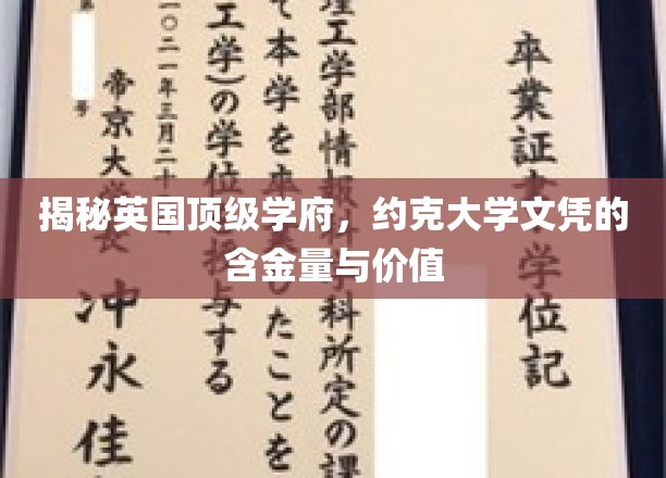 探寻约克大学文凭的全球影响力与卓越价值