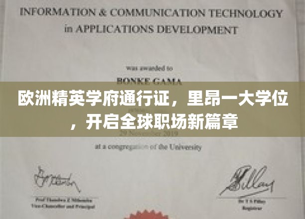 欧洲学府通行证，里昂一学位，解锁国际职场无限可能