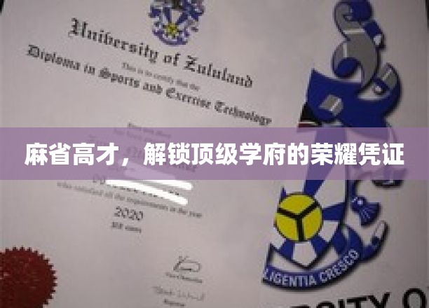 解码麻省精英，揭秘顶尖学府的荣耀通行证