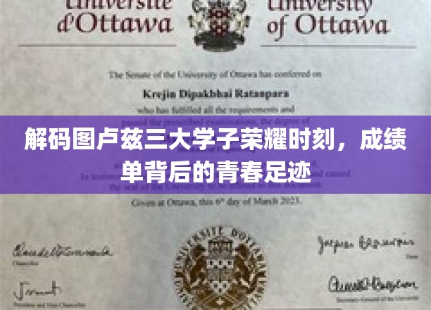 图卢兹三大学子荣耀瞬间，探寻成绩单背后的青春印记