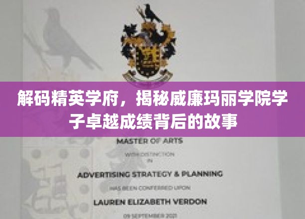 解码精英学府，揭秘威廉玛丽学院学子卓越成绩背后的故事