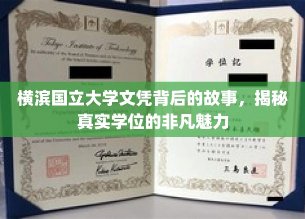 横滨国立大学文凭探秘，探寻学位背后的传奇魅力